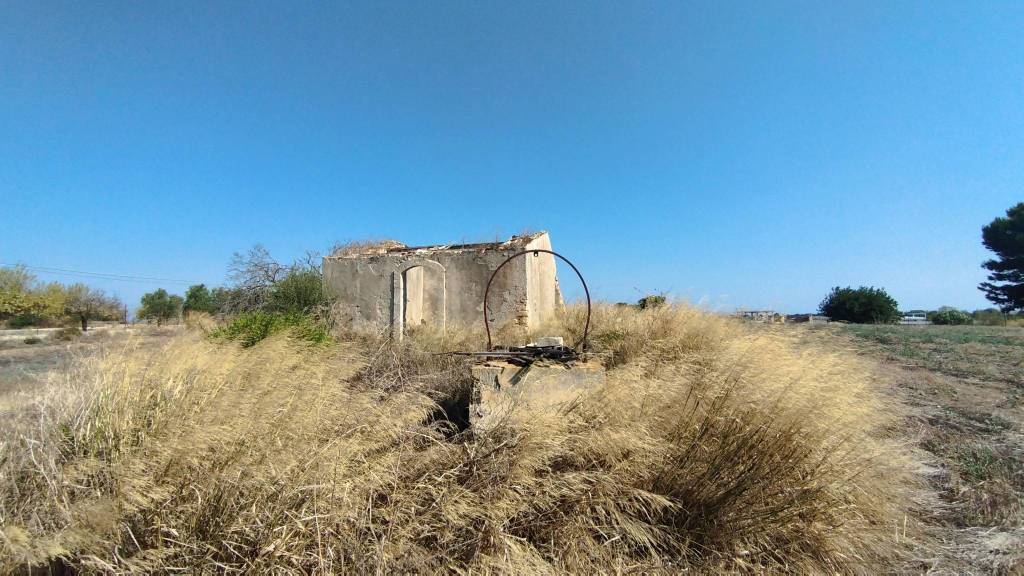 immagine annuncio 11 di 12