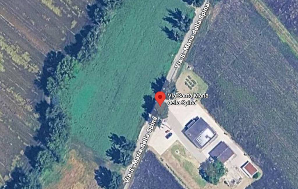 immagine annuncio 5 di 11