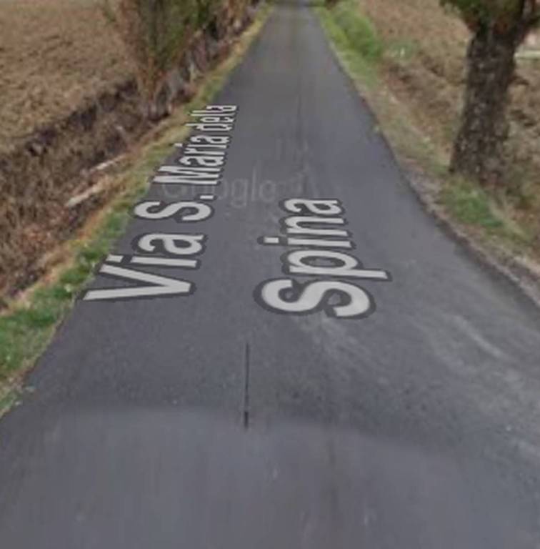 immagine annuncio 9 di 11