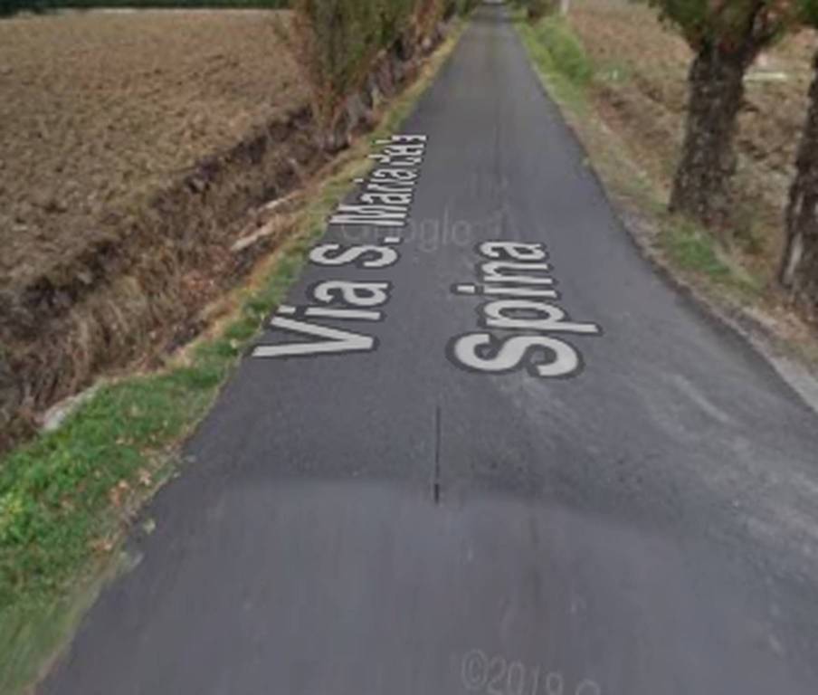 immagine annuncio 10 di 11