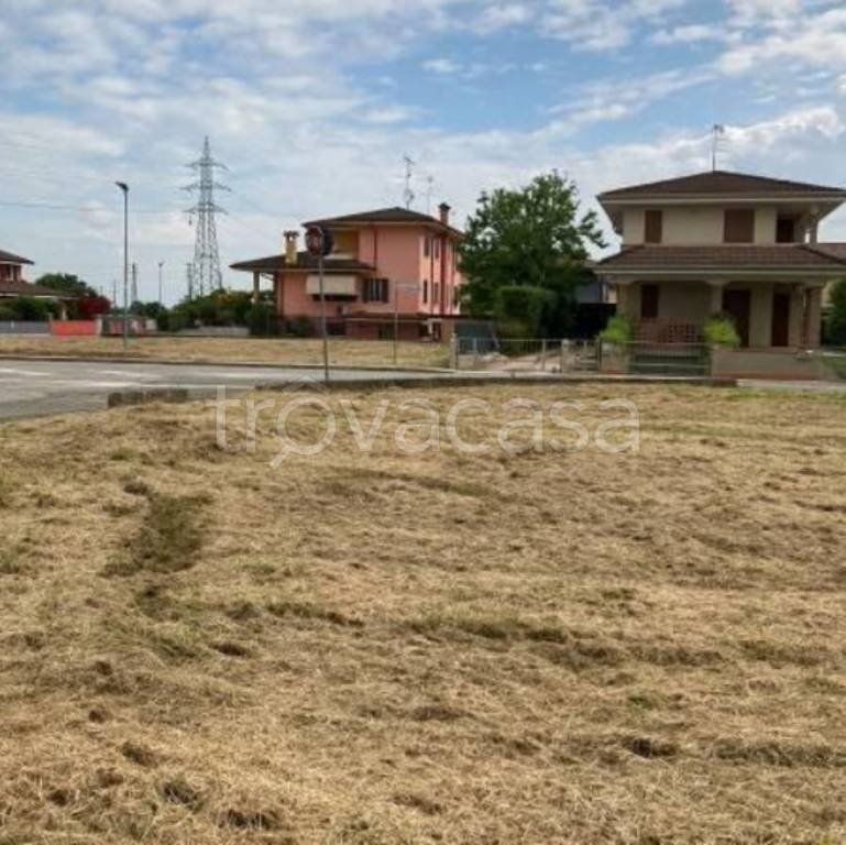 immagine annuncio 2 di 11