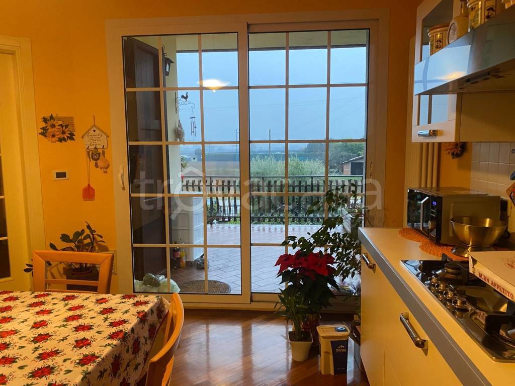 immagine annuncio 5 di 14