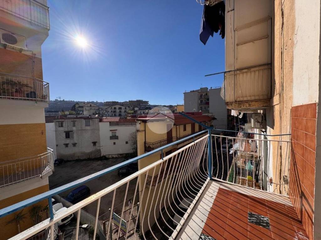 immagine annuncio 10 di 11