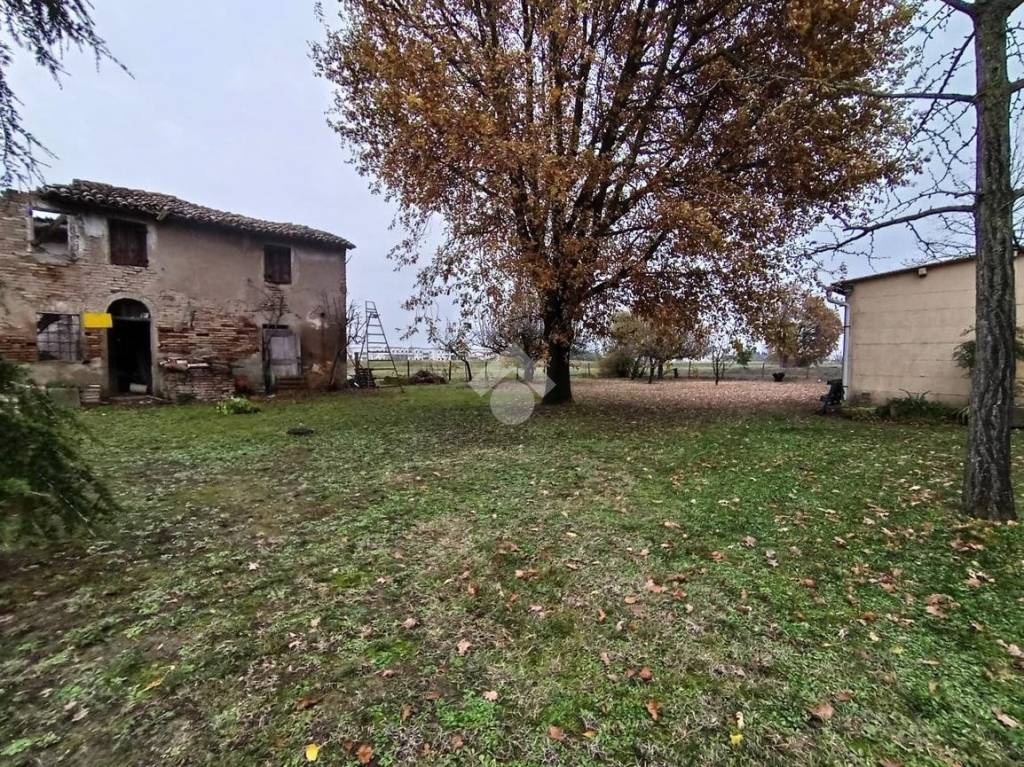 immagine annuncio 3 di 9