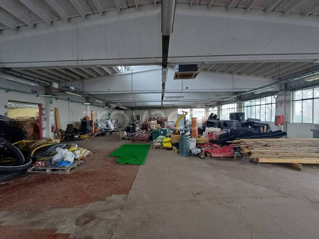 immagine annuncio 4 di 13