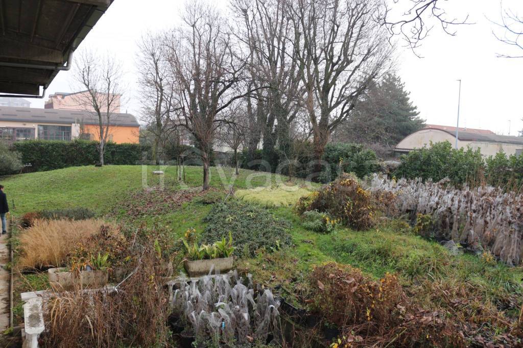 immagine annuncio 12 di 13