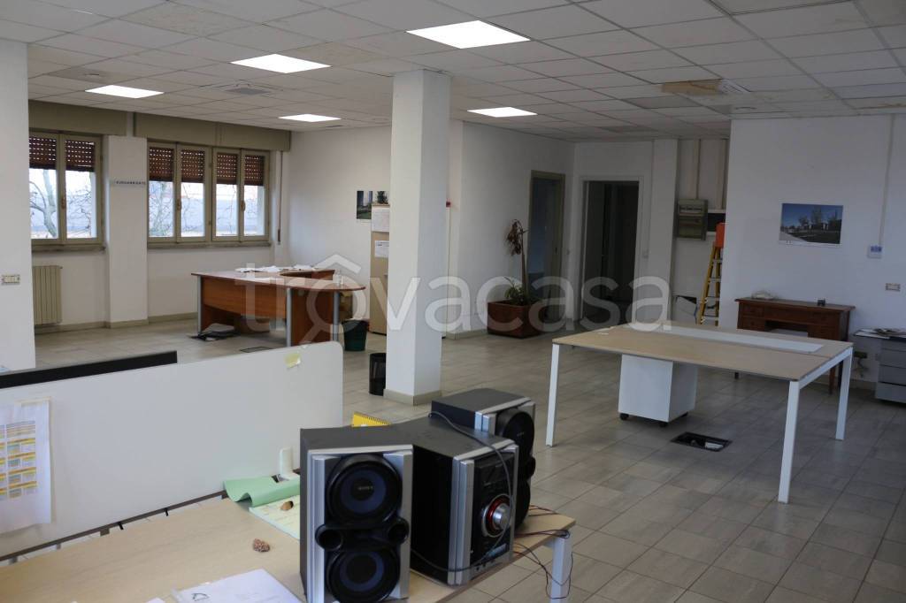 immagine annuncio 9 di 13