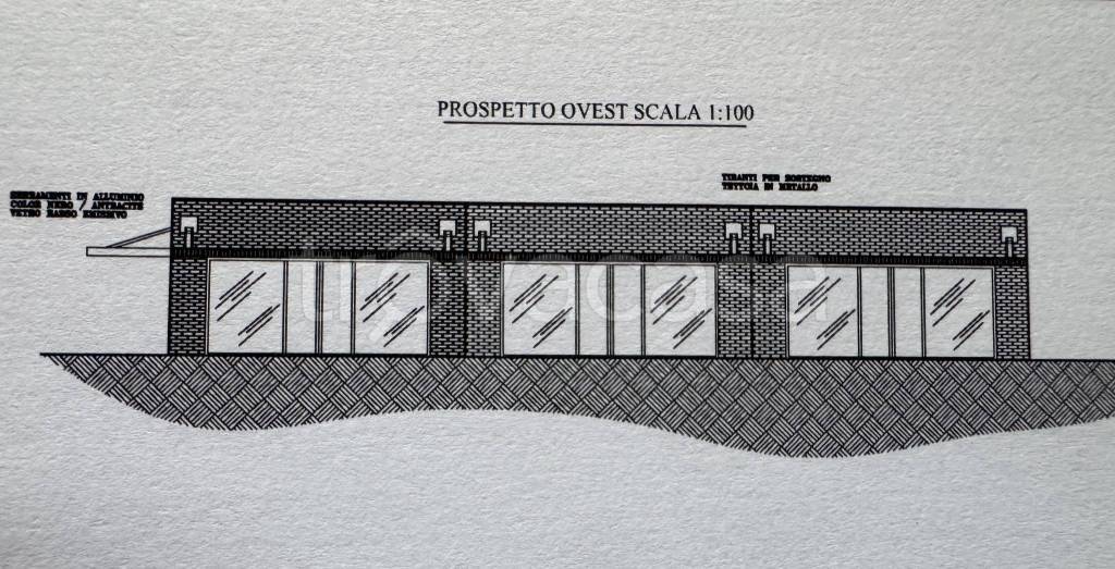 immagine annuncio 9 di 14