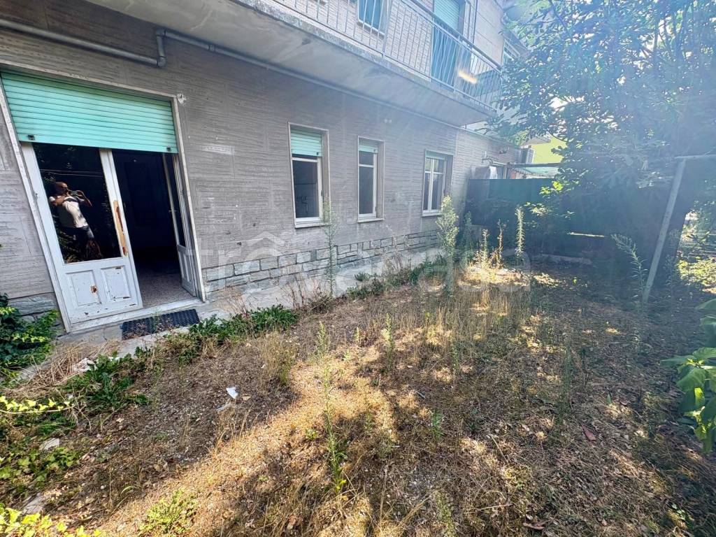 immagine annuncio 1 di 14