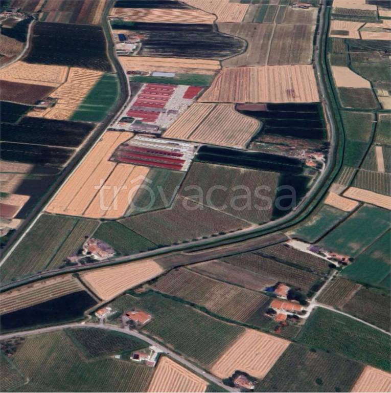 immagine annuncio 6 di 11