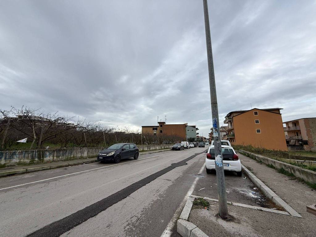 immagine annuncio 11 di 13