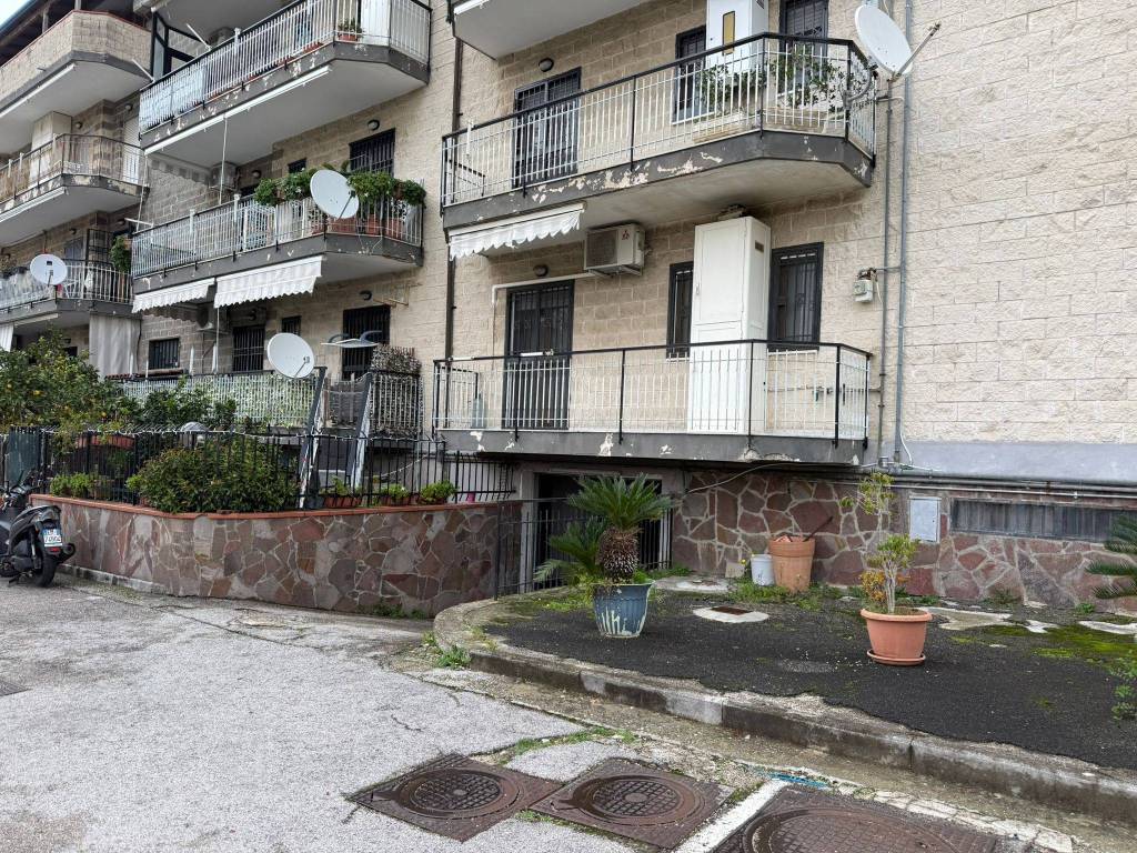 immagine annuncio 12 di 13