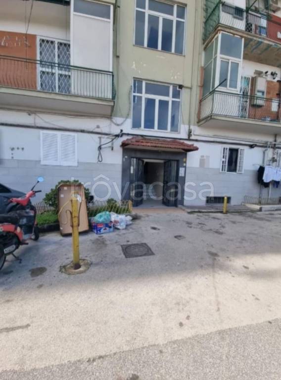 immagine annuncio 3 di 11