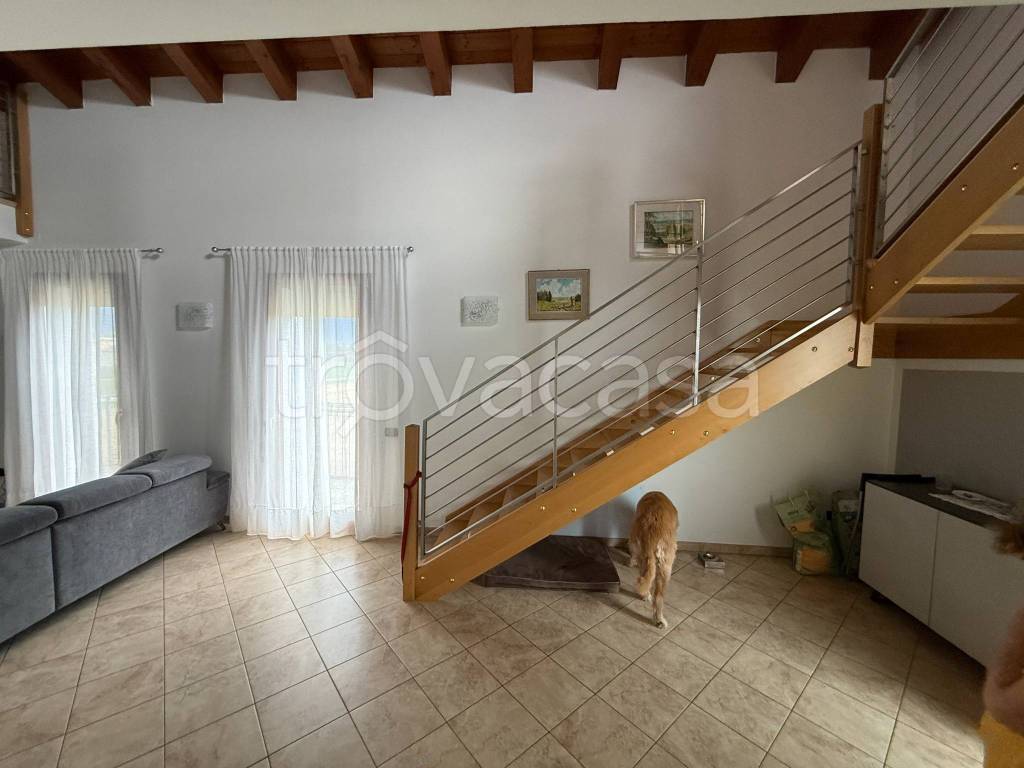 immagine annuncio 2 di 14