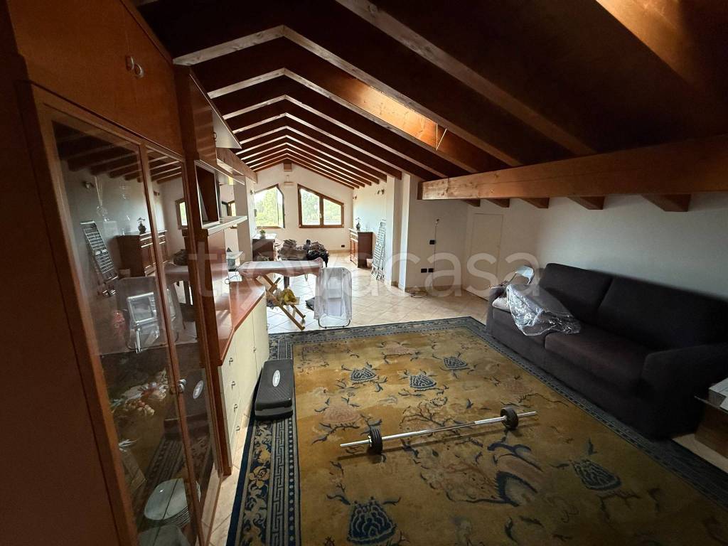 immagine annuncio 6 di 14