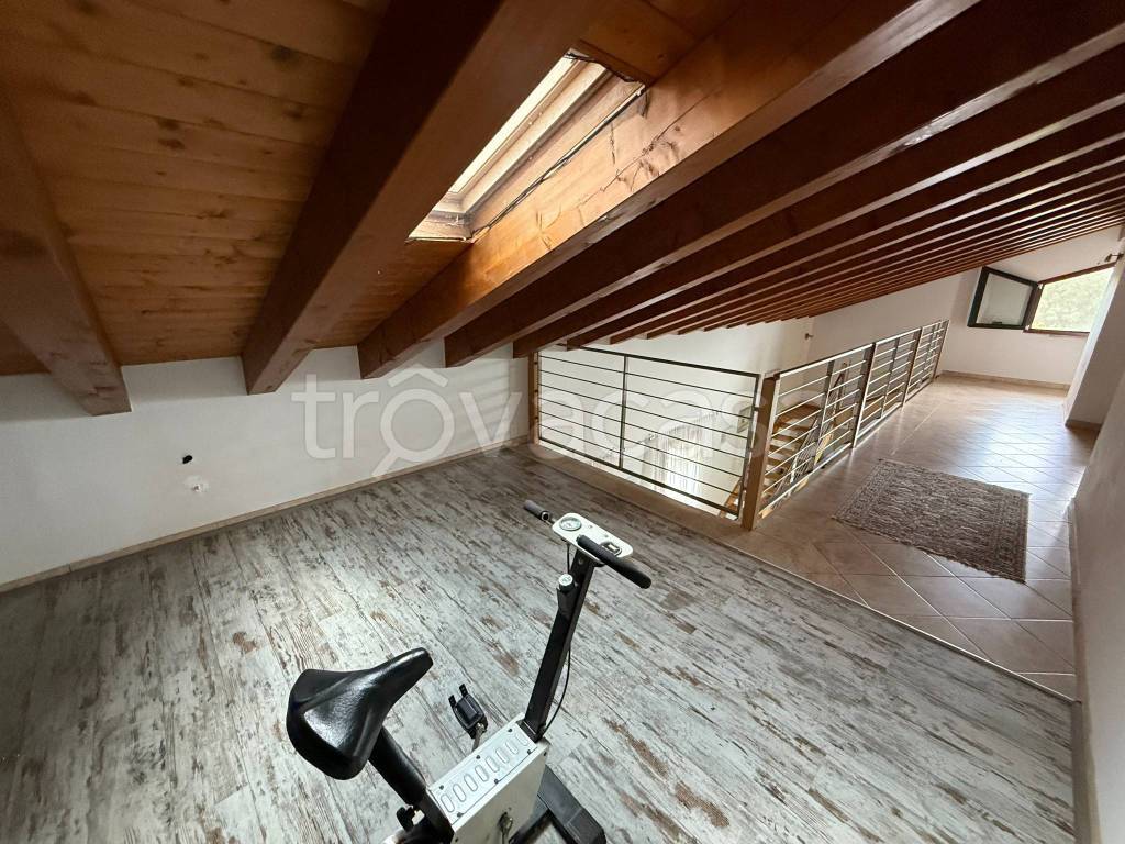 immagine annuncio 7 di 14