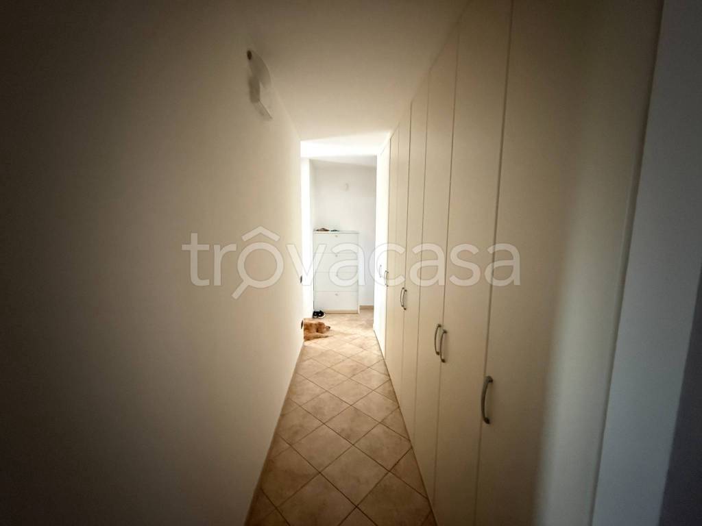 immagine annuncio 10 di 14