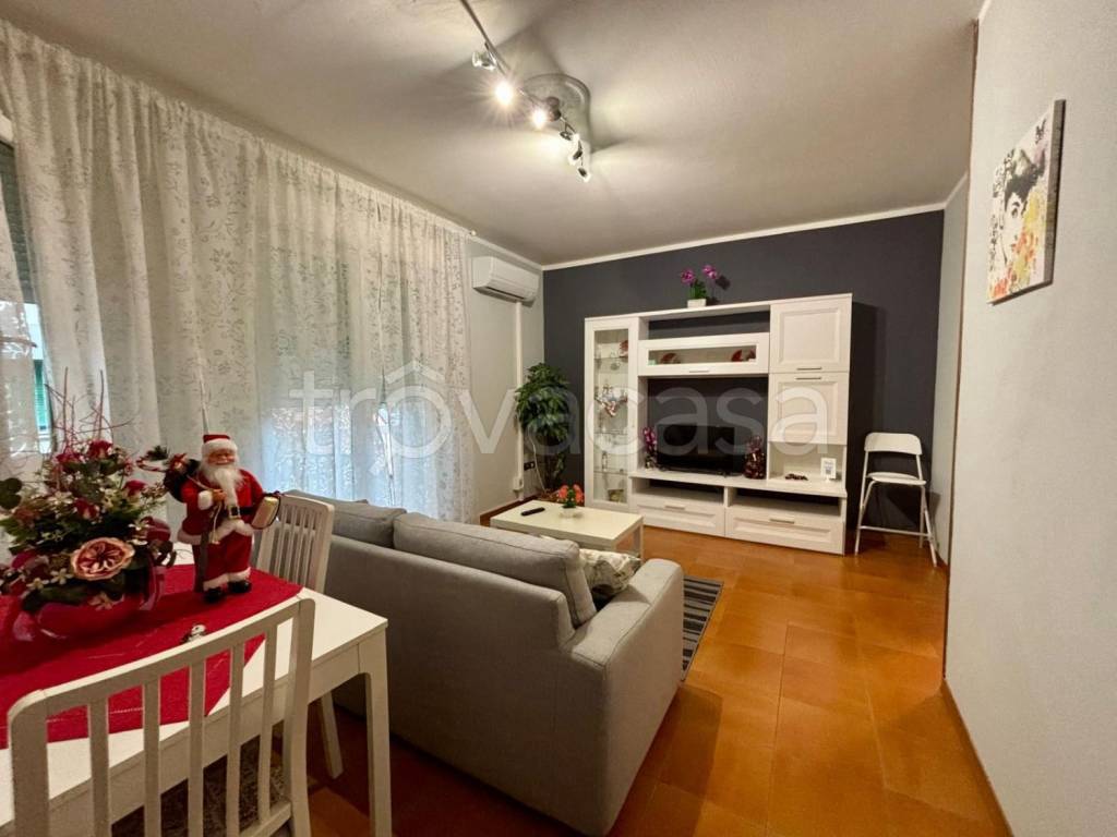 immagine annuncio 7 di 13