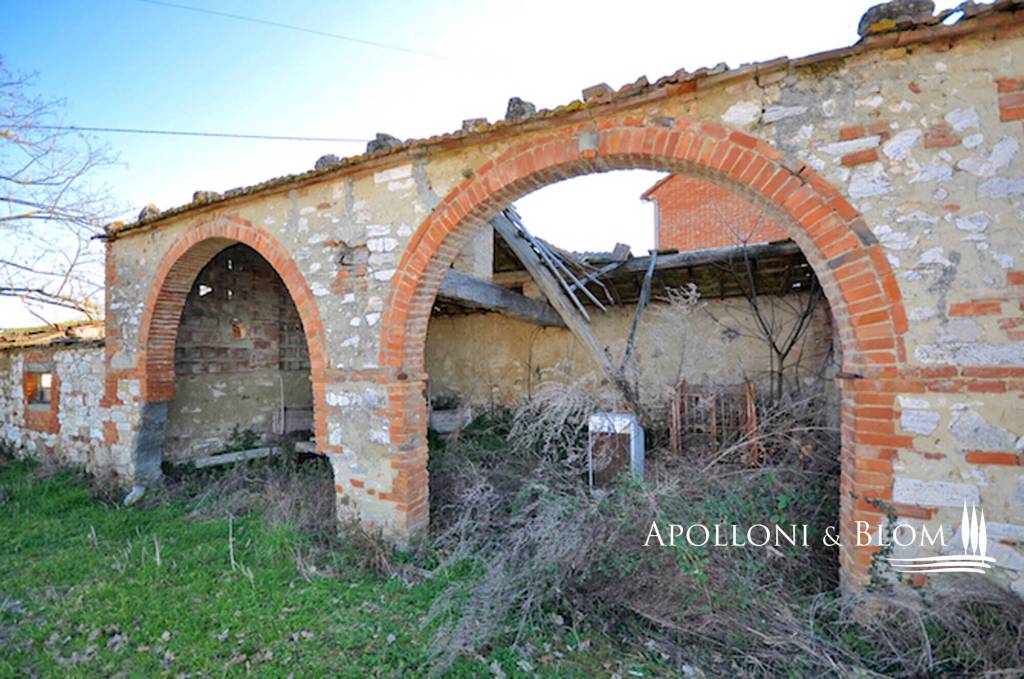 immagine annuncio 6 di 12