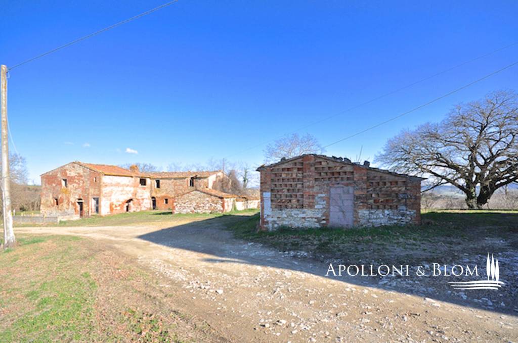 immagine annuncio 7 di 12