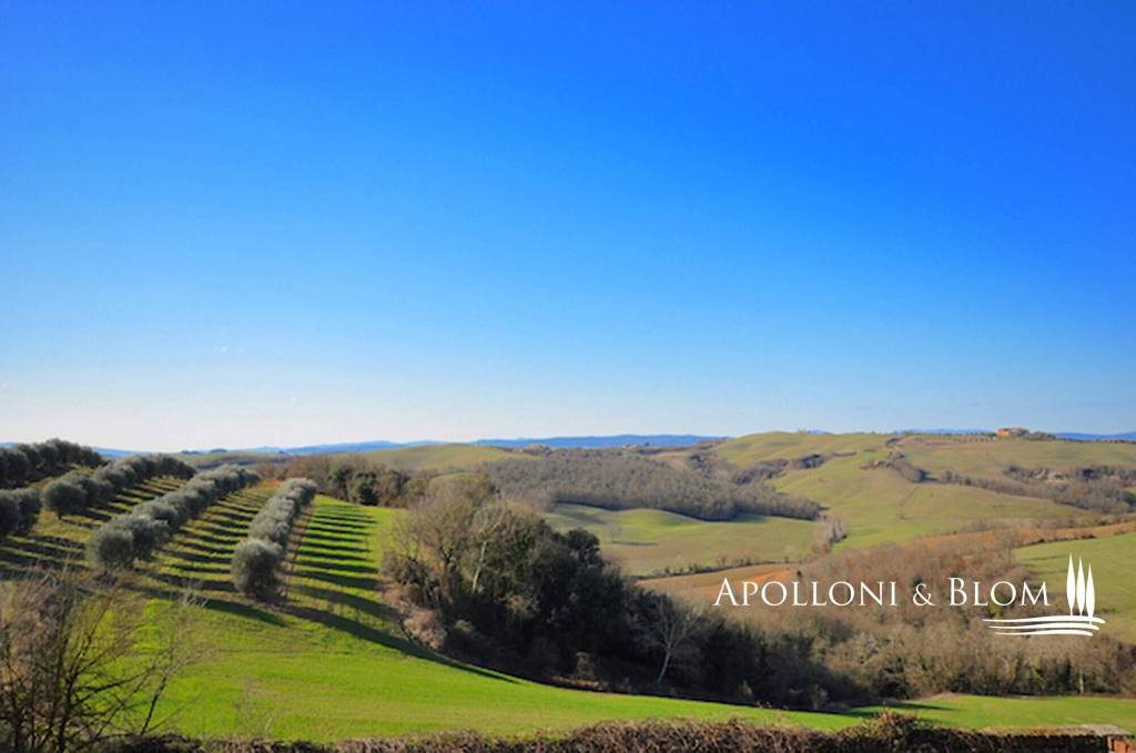 immagine annuncio 8 di 12