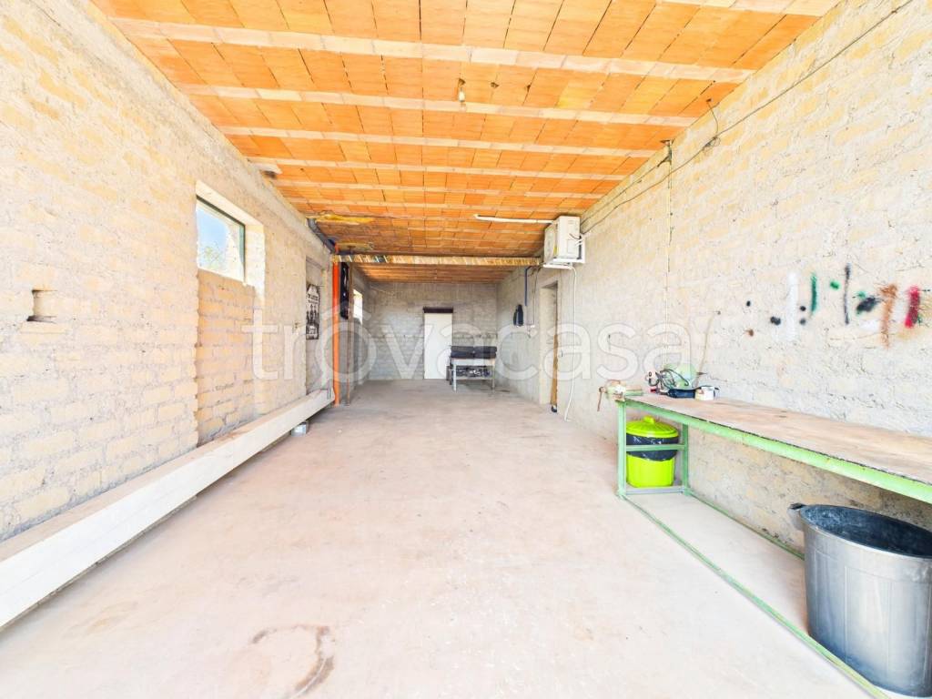 immagine annuncio 3 di 12