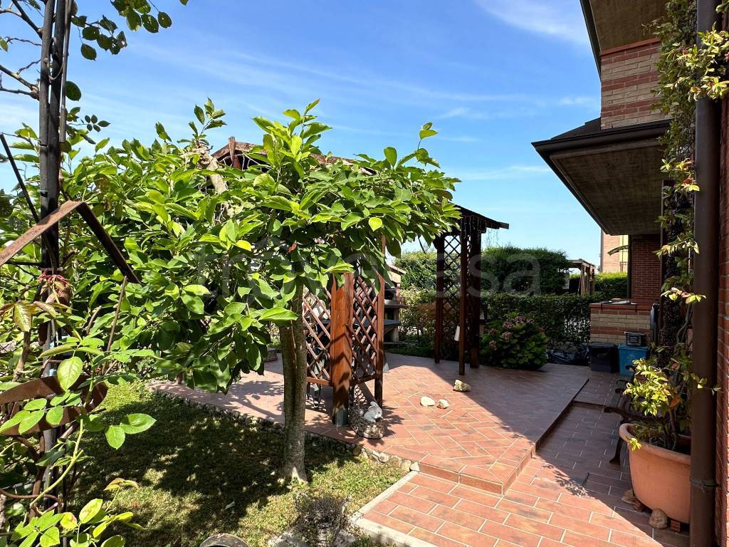 immagine annuncio 2 di 15