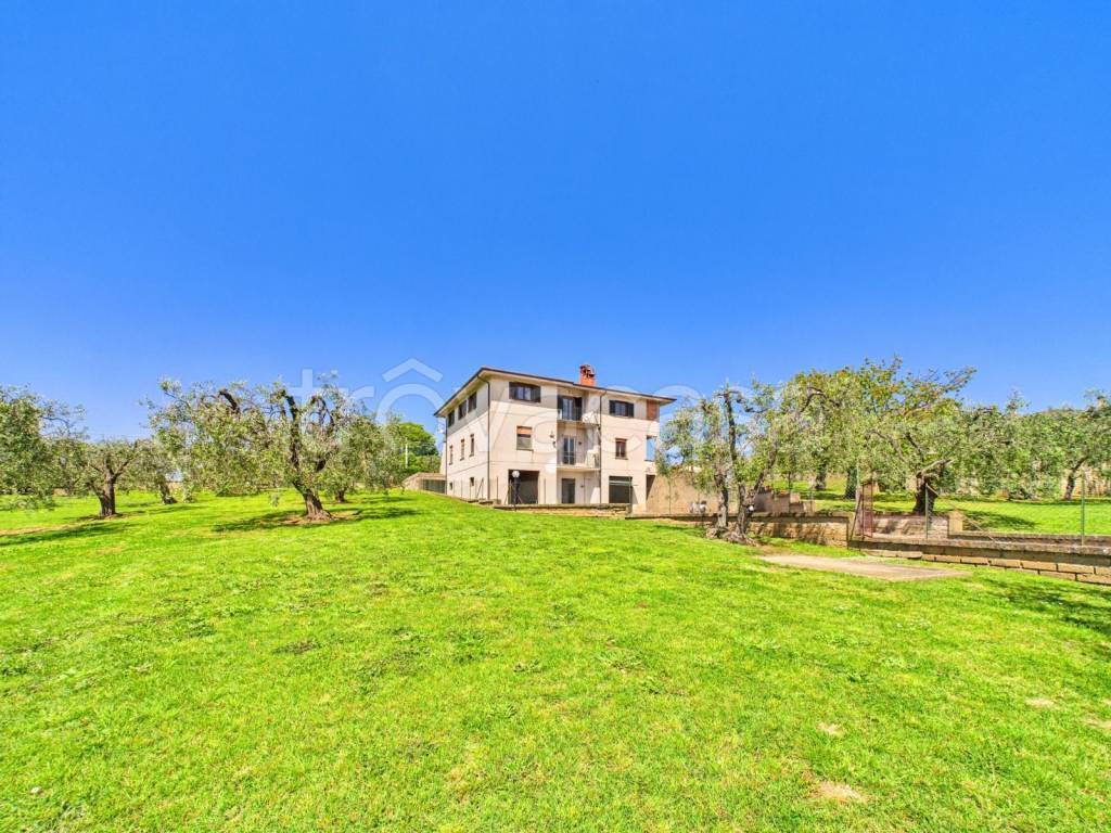 immagine annuncio 9 di 12