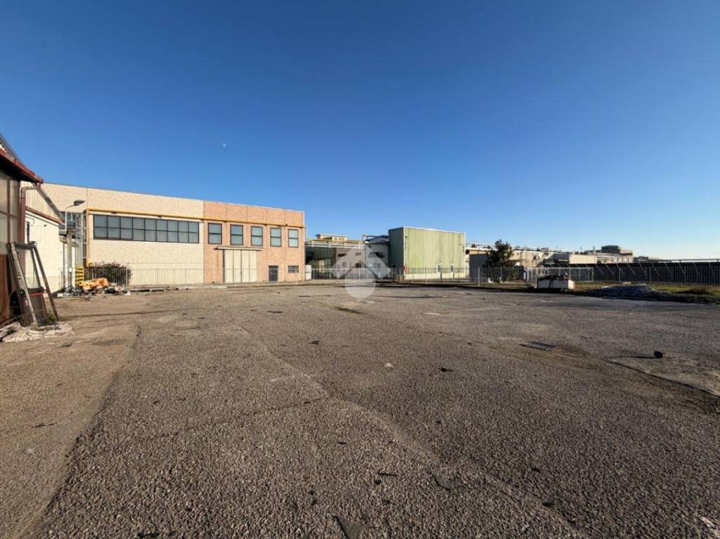 immagine annuncio 11 di 15