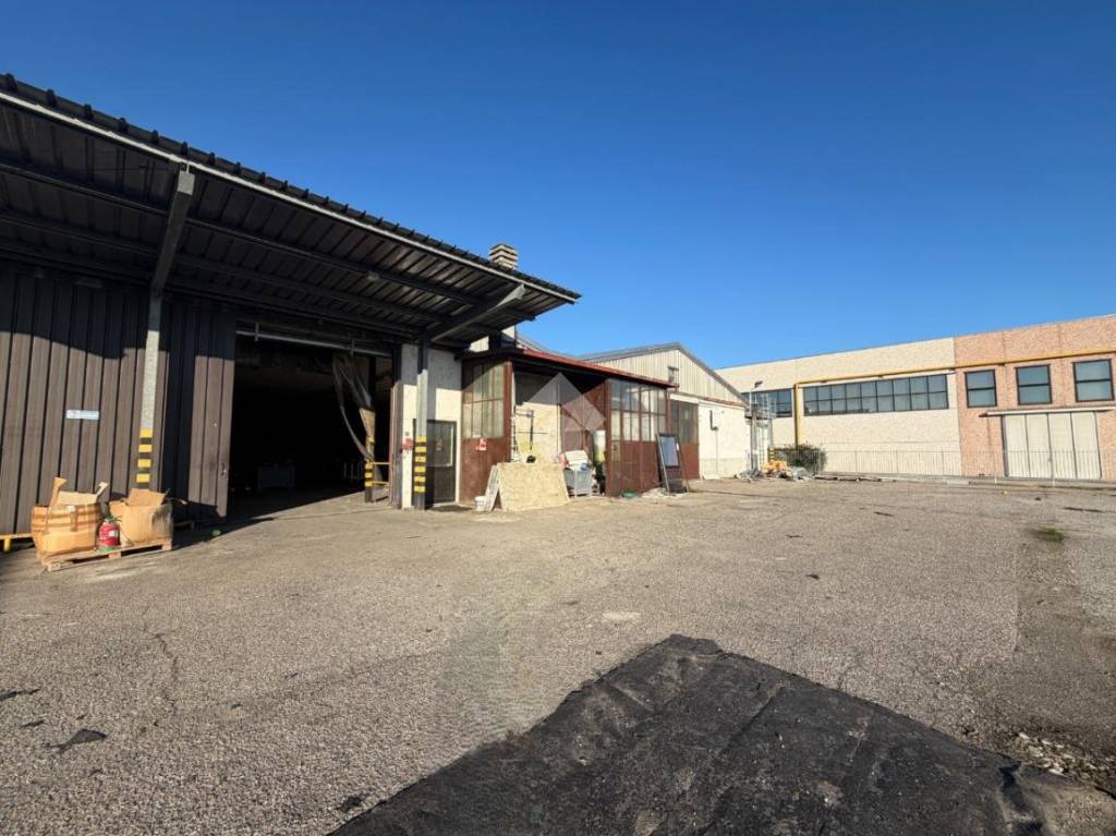 immagine annuncio 14 di 15