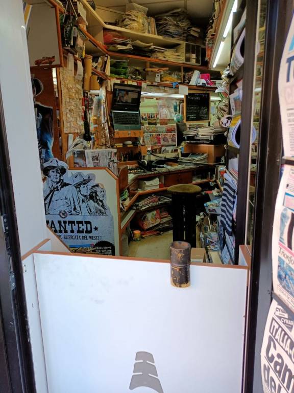 immagine annuncio 2 di 12