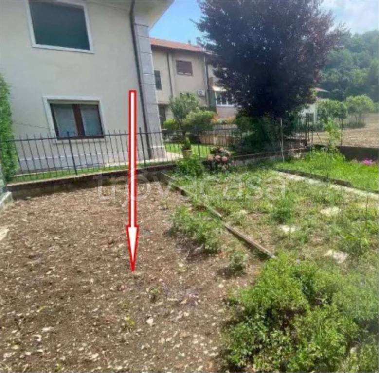 immagine annuncio 2 di 12