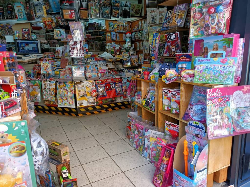 immagine annuncio 4 di 12