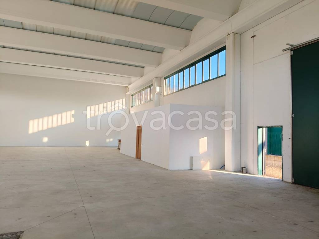 immagine annuncio 2 di 8