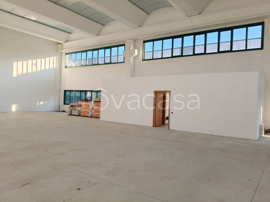 immagine annuncio 4 di 8