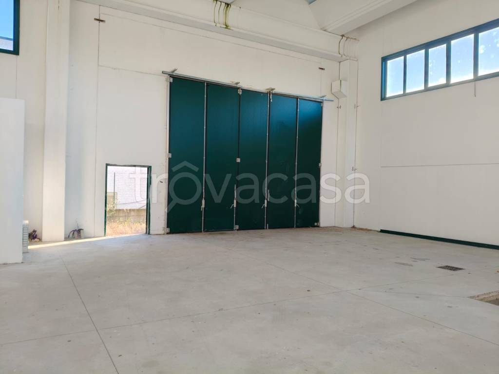 immagine annuncio 5 di 8