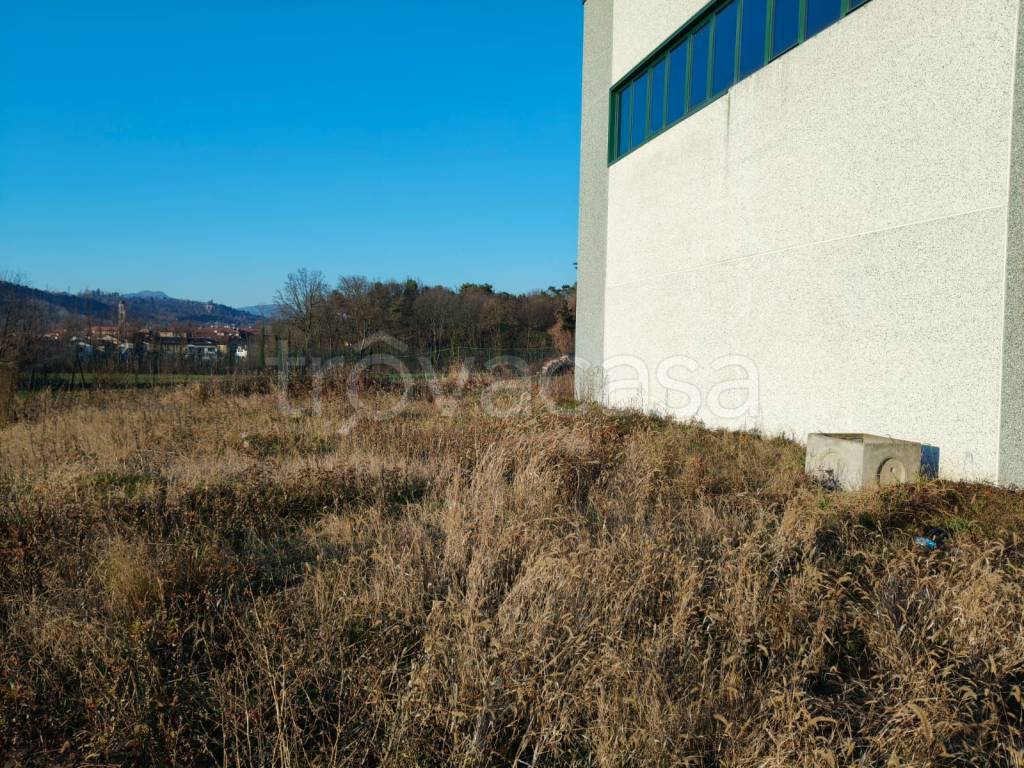 immagine annuncio 7 di 8