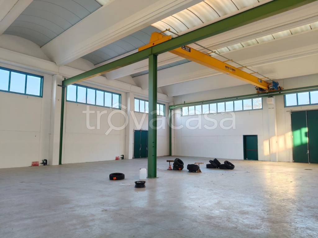 immagine annuncio 1 di 8