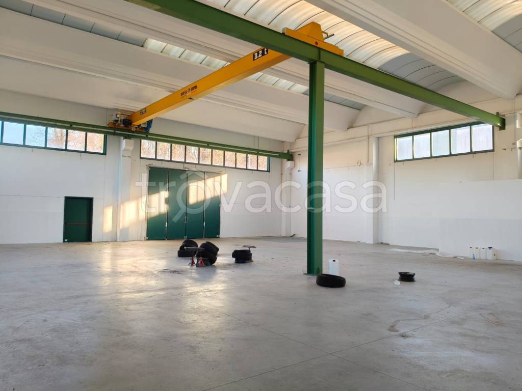 immagine annuncio 3 di 8