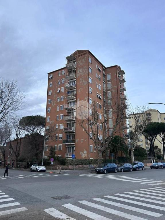 immagine annuncio 8 di 9