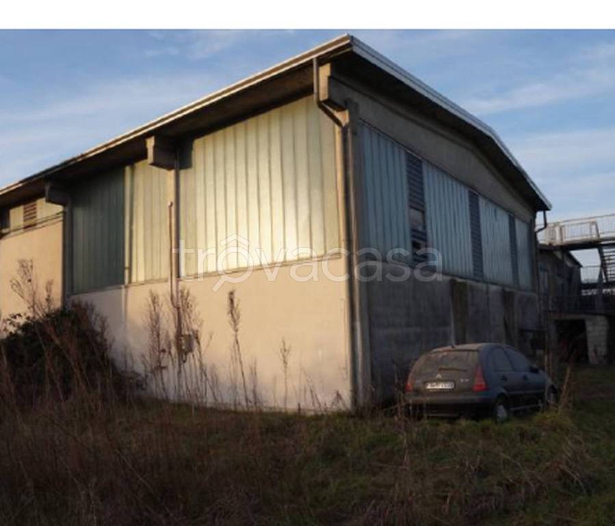 immagine annuncio 1 di 11