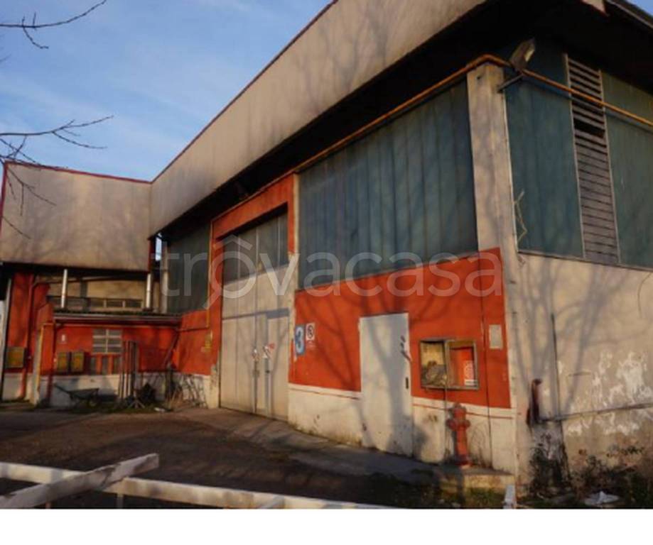 immagine annuncio 3 di 11