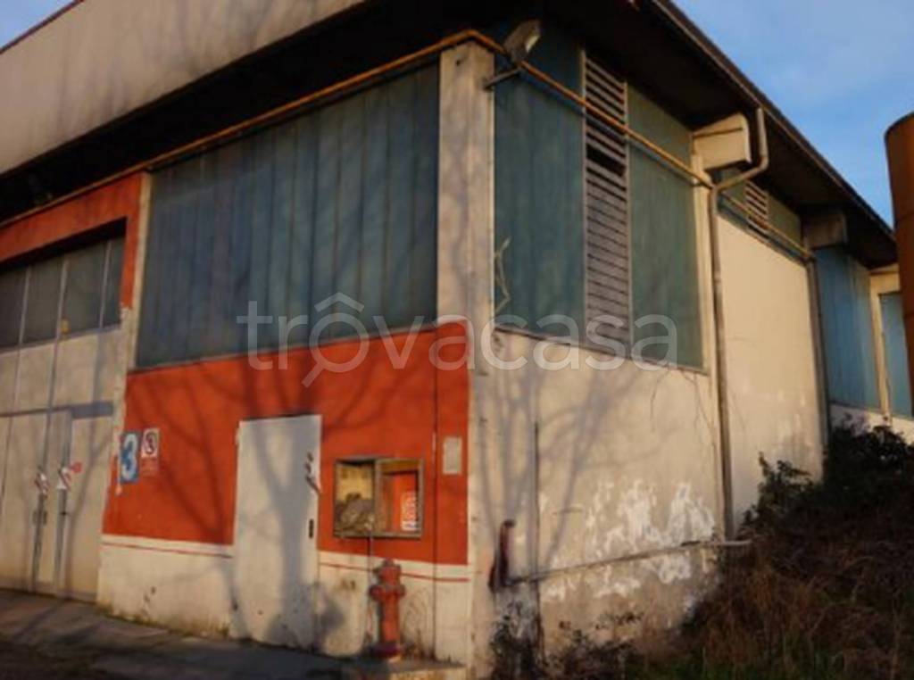 immagine annuncio 4 di 11