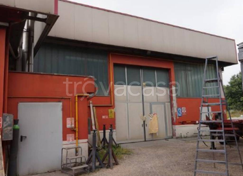 immagine annuncio 5 di 11