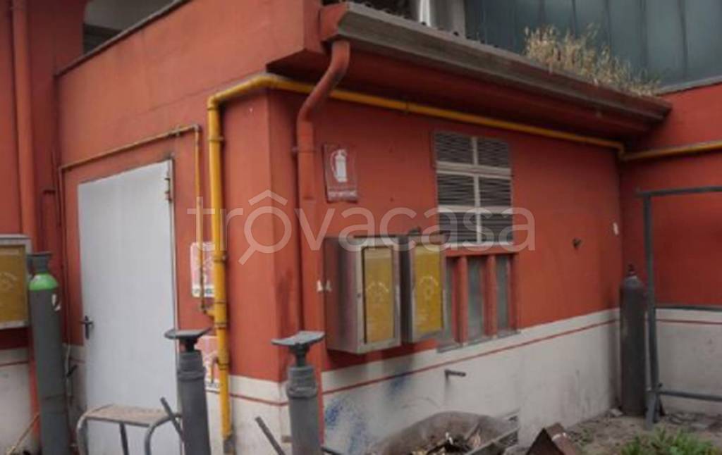 immagine annuncio 6 di 11