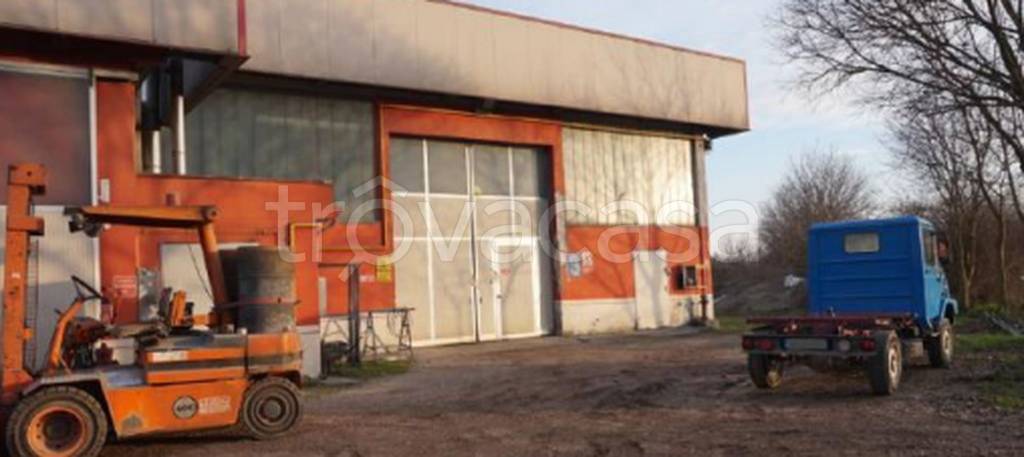 immagine annuncio 7 di 11