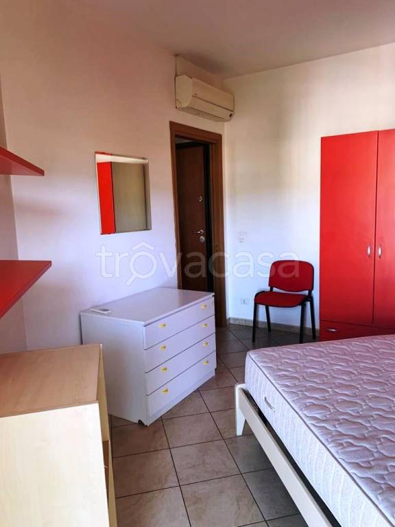 immagine annuncio 9 di 14