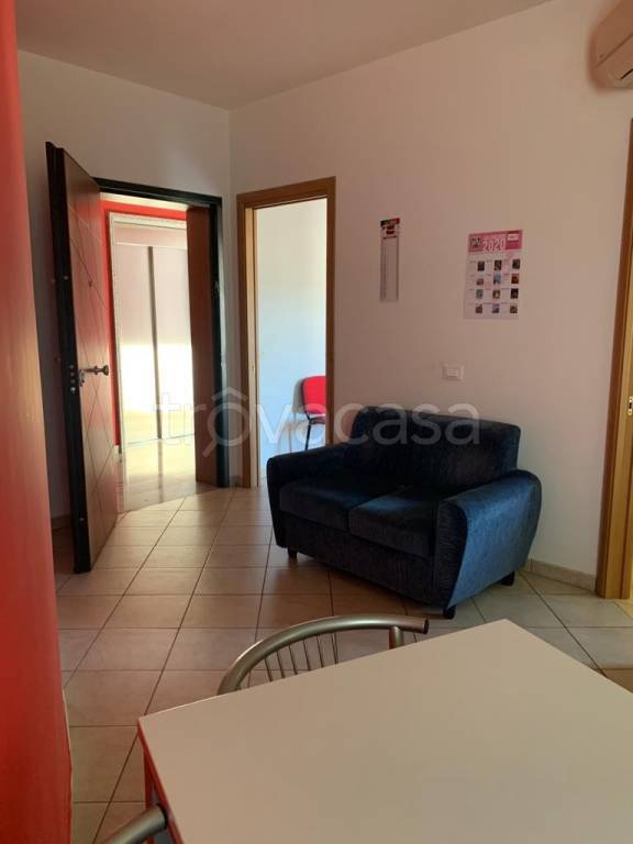 immagine annuncio 3 di 14