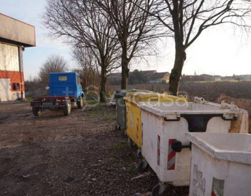 immagine annuncio 8 di 11