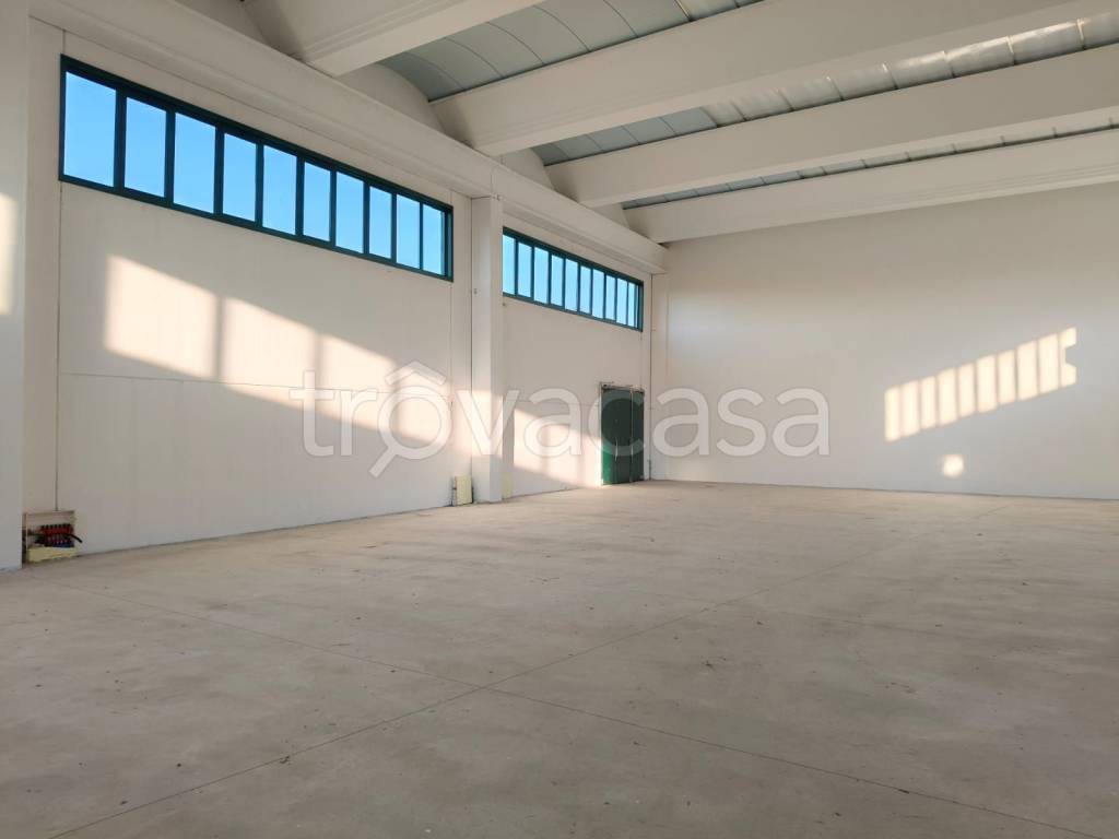 immagine annuncio 2 di 8